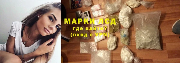 PSILOCYBIN Балабаново